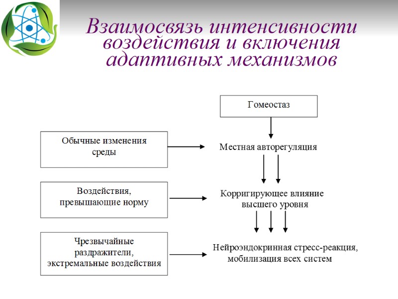 Взаимосвязь интенсивности воздействия и включения адаптивных механизмов